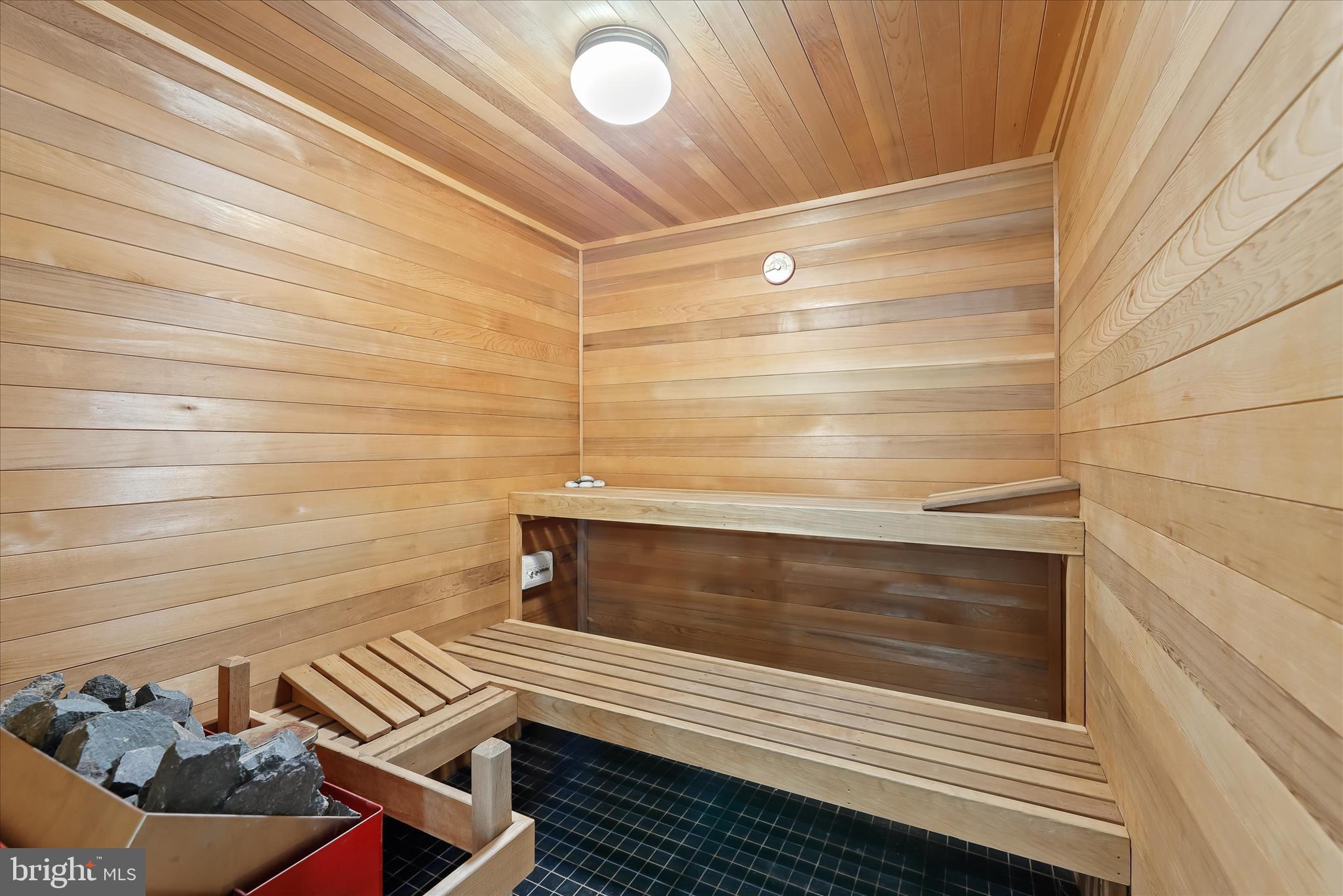11802 Farside Road Ellicott City, MD 21042 - Photo 85 of 147 Sauna