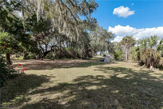 a view of road with large trees