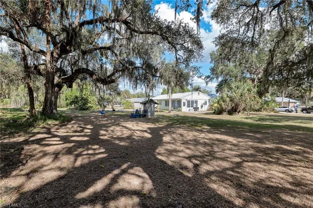 a view of yard with tree