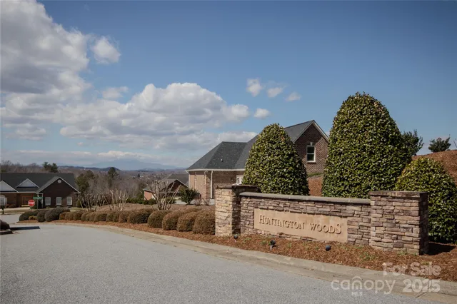 a view of lots of trees