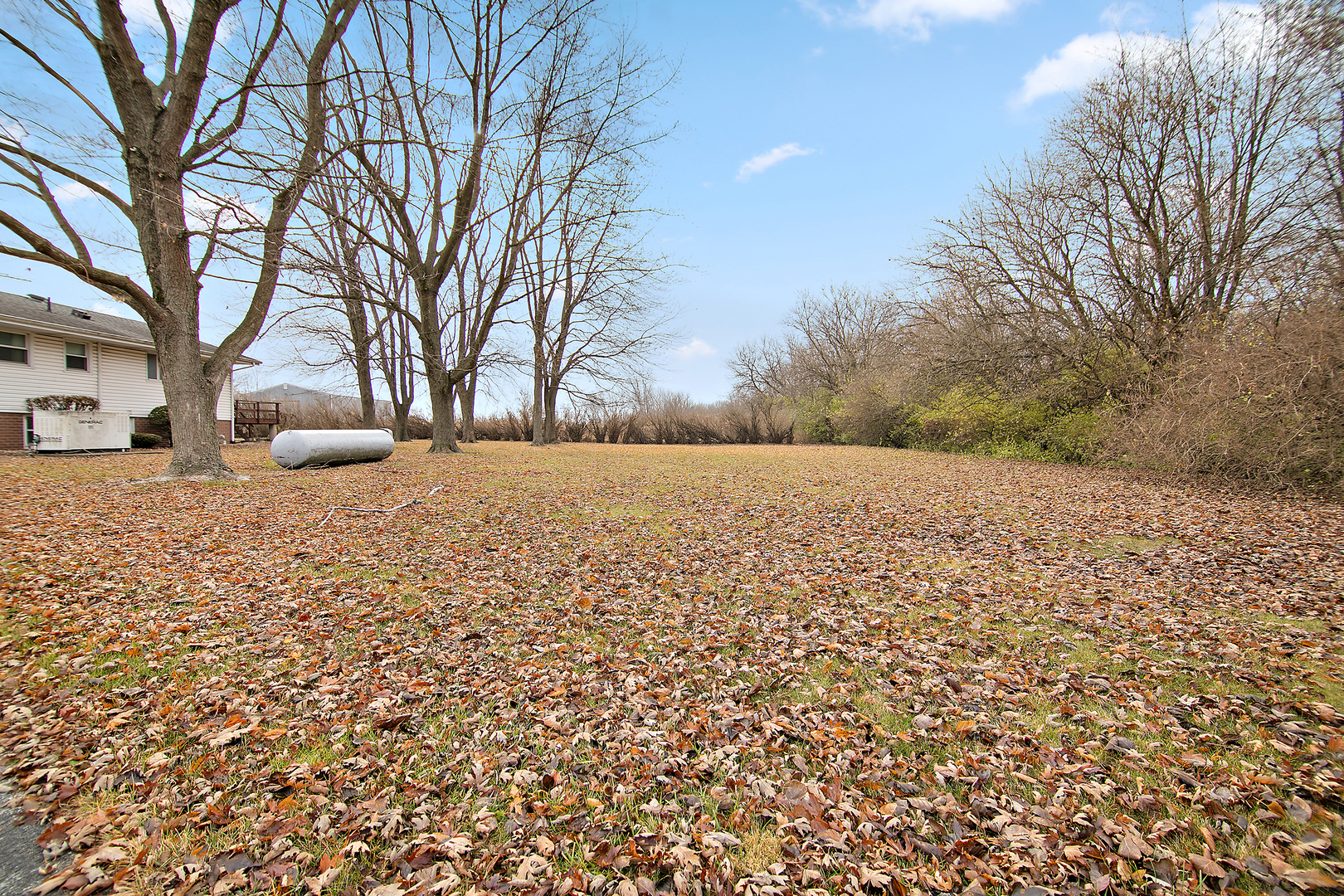 1745 4100N Road Herscher, IL 60941 - Photo 25 of 31 a backyard of a house with large trees