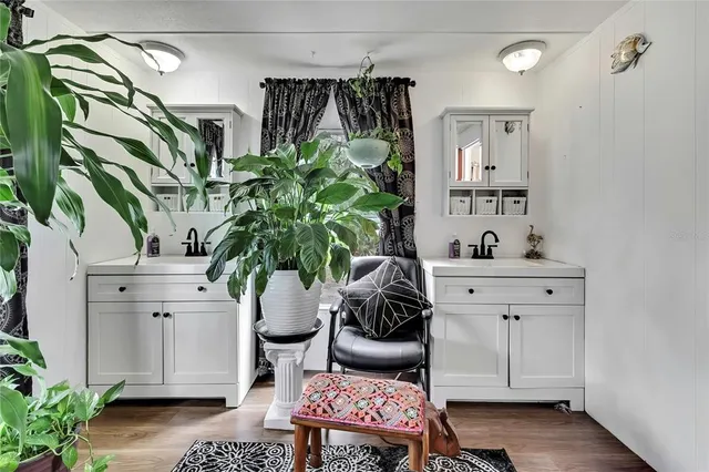 a living room with furniture and a potted plant