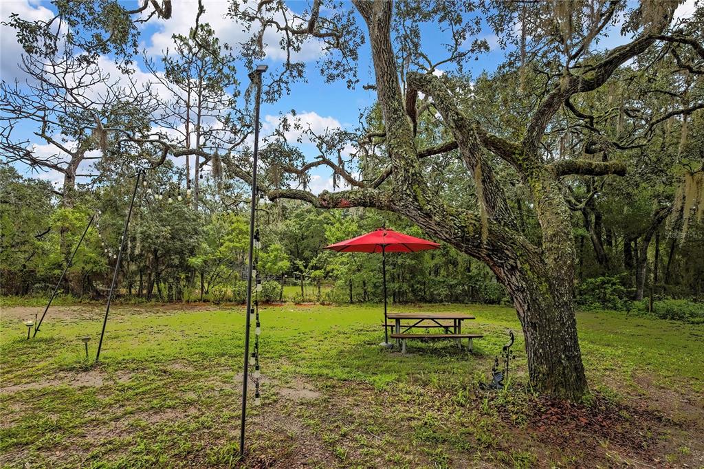 3771 South Millston Point Lecanto, FL 34461 - Photo 5 of 34