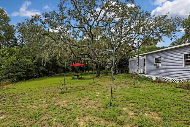 a backyard of a house with plants and large tree
