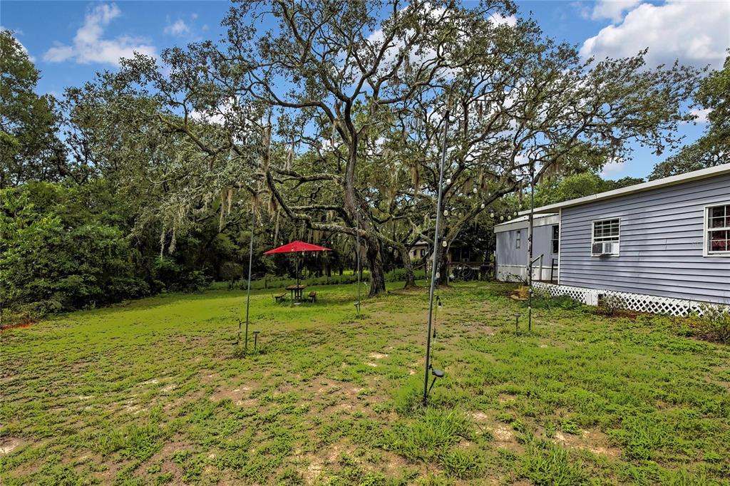 3771 South Millston Point Lecanto, FL 34461 - Photo 6 of 34