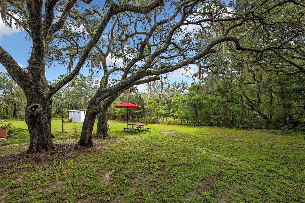 3771 South Millston Point Lecanto, FL 34461 - Photo 7 of 34