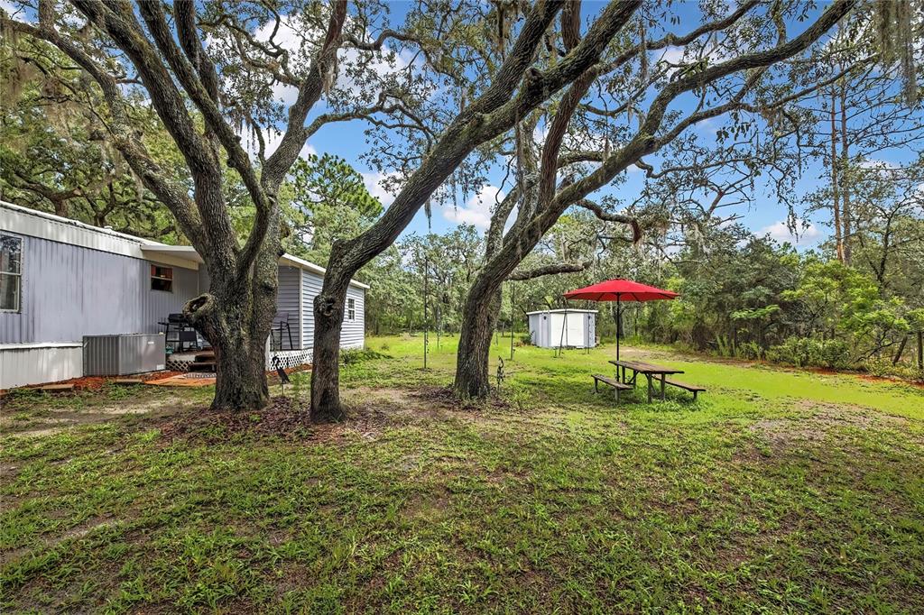 3771 South Millston Point Lecanto, FL 34461 - Photo 8 of 34