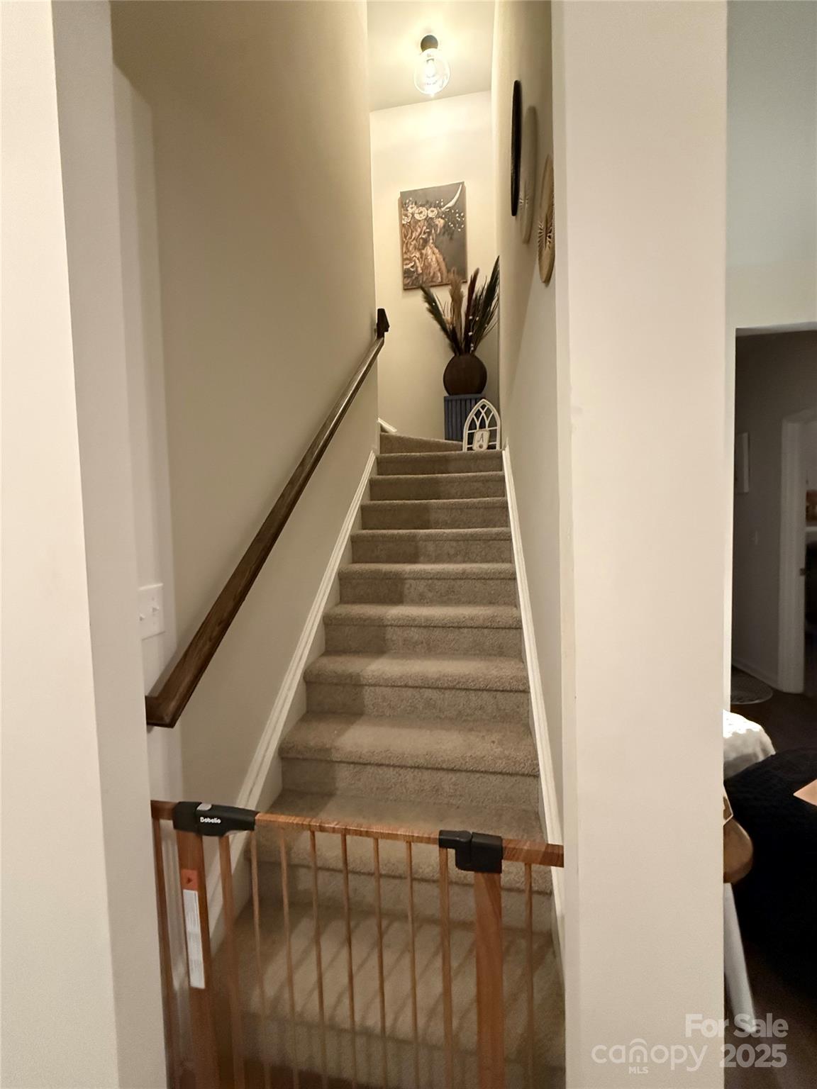 115 Stoney Lane Cherryville, NC 28021 - Photo 12 of 27 a view of entryway