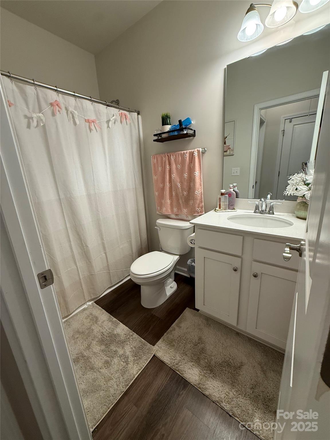 115 Stoney Lane Cherryville, NC 28021 - Photo 18 of 27 a bathroom with a sink a toilet and a mirror
