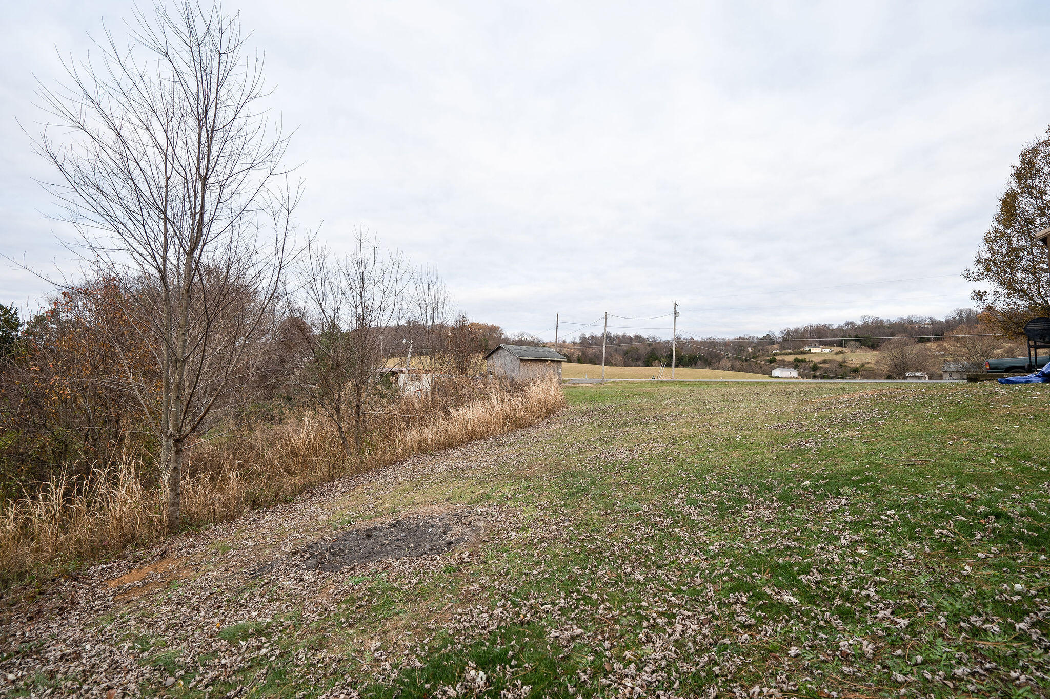 811 Conklin Road Jonesborough, TN 37659 - Photo 29 of 49 DSC08127-Edit