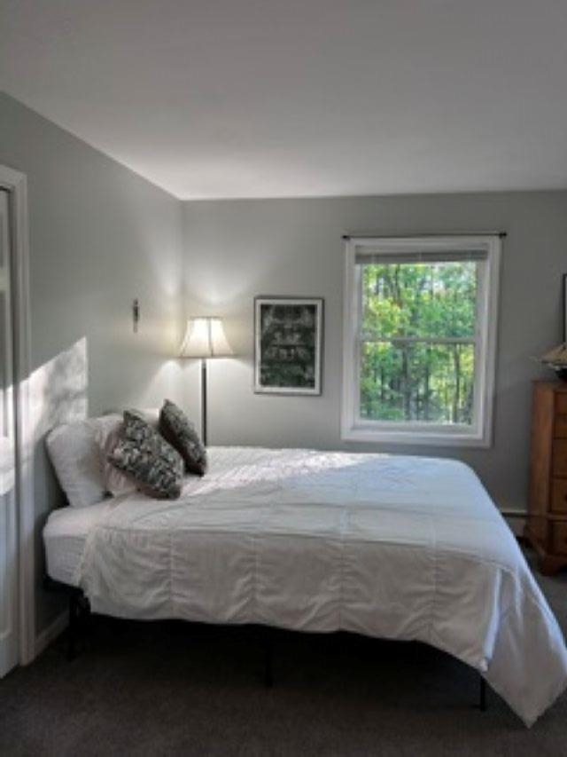 45 Blossom Road Windham, NH 03087 - Photo 23 of 31