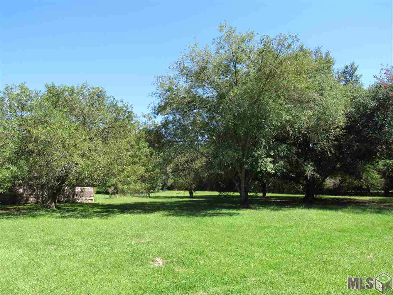 10312 Hooper Road Baton Rouge, LA 70818 - Photo 3 of 5