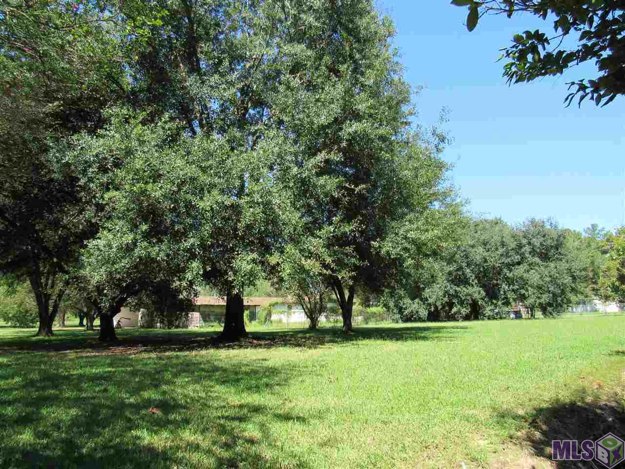 10312 Hooper Road Baton Rouge, LA 70818 - Photo 4 of 5