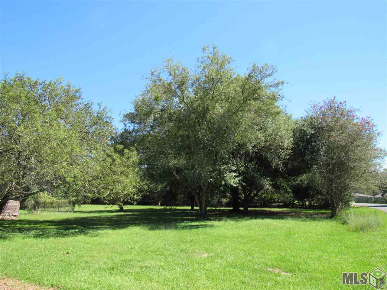 10312 Hooper Road Baton Rouge, LA 70818 - Photo 5 of 5