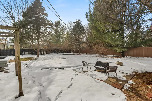 a road view with large trees