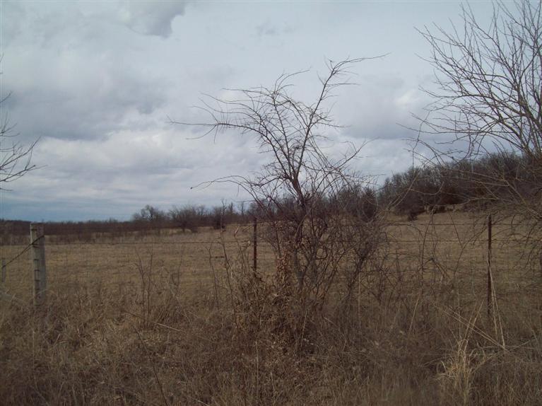 0 East 515th Road Morrisville, MO 65710 - Photo 1 of 1 Primary Photo
