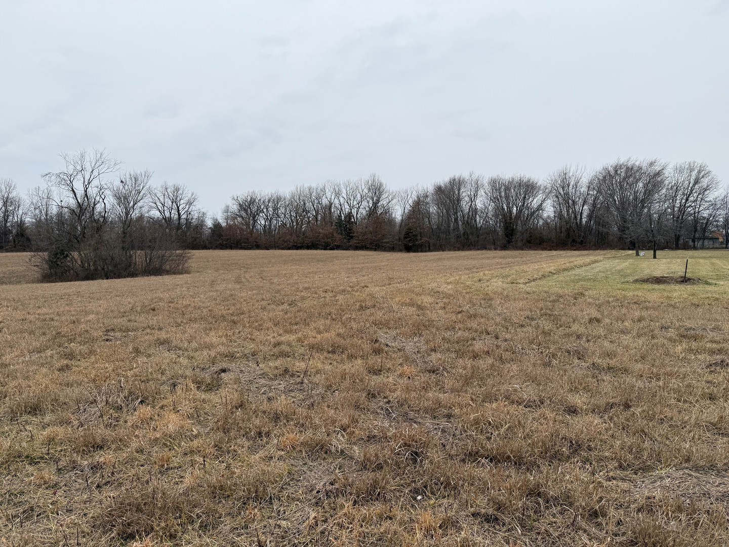 2019 West Main Street Salem, IL 62881 - Photo 3 of 6 a view of an outdoor space and a yard