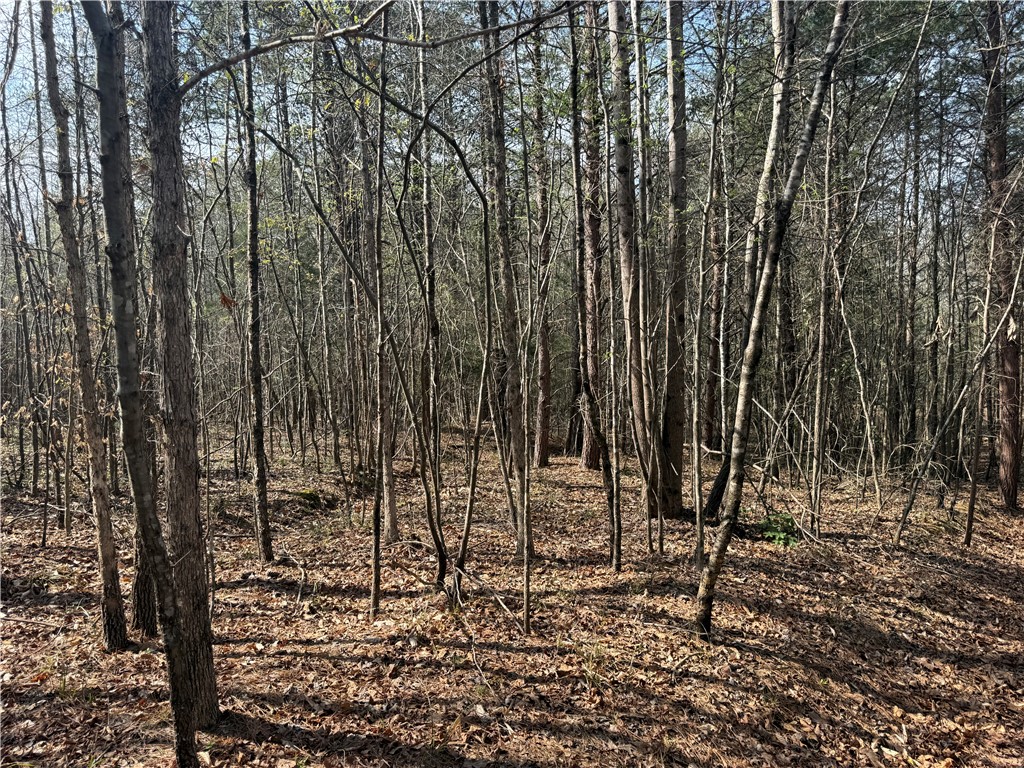 0 Holland Ford Road Pelzer, SC 29669 - Photo 22 of 35