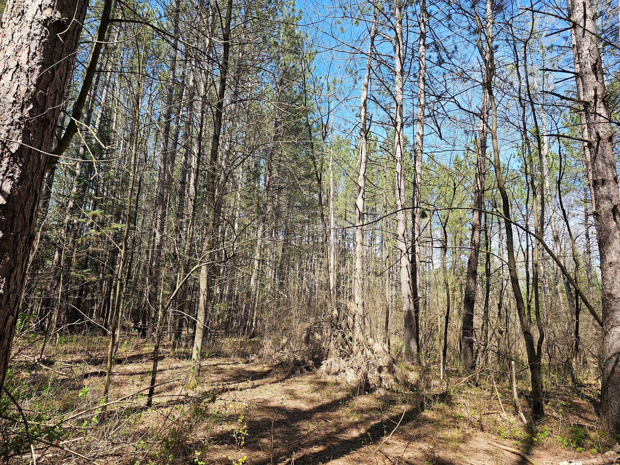 On Forks Road Merrill, WI 54452 - Photo 11 of 34 Gallery Image 11