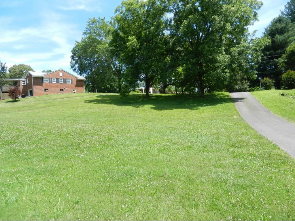 5410 Odd Fellow Road Kingsport, TN 37664 - Photo 4 of 32 Large front yard