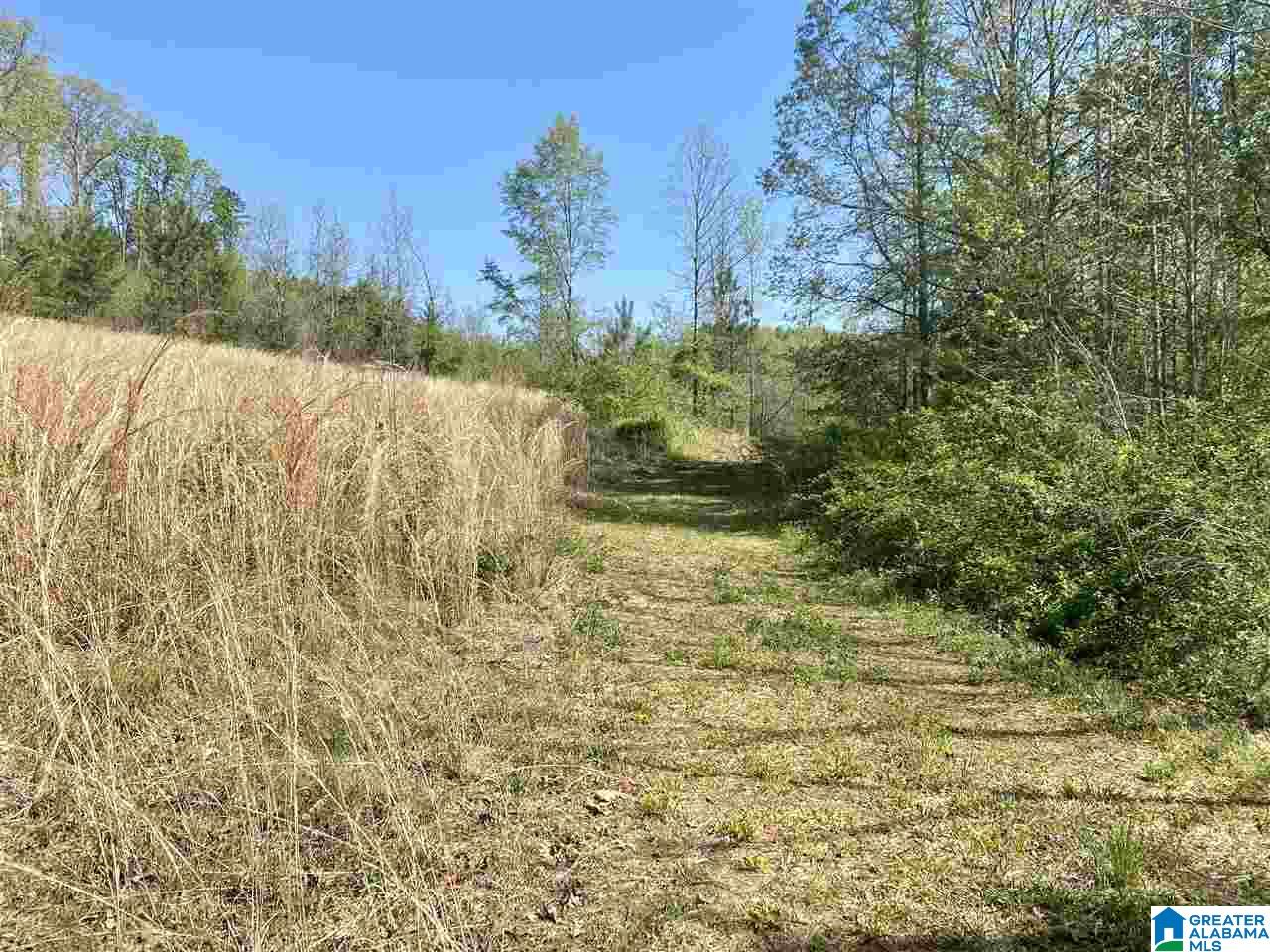4201 Bristow Cove Road, Unit 1 Boaz, AL 35956 - Photo 10 of 23