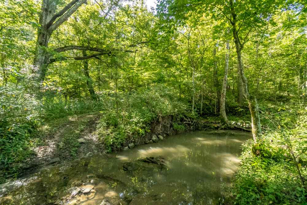 58 Hicks Lane Berry, KY 41003 - Photo 11 of 48 Gallery Image 11
