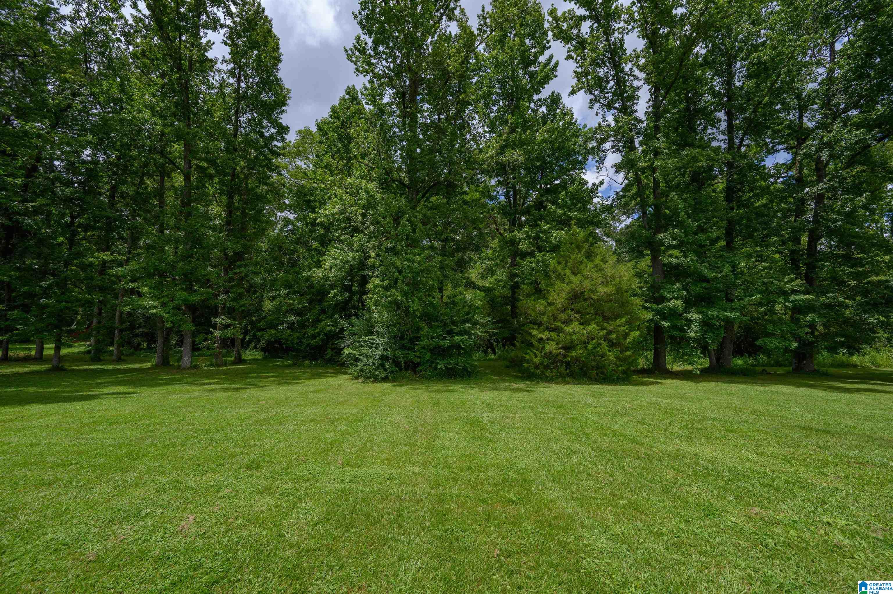 2138 Cumberland Road Bessemer, AL 35022 - Photo 49 of 52 Gallery Image 49