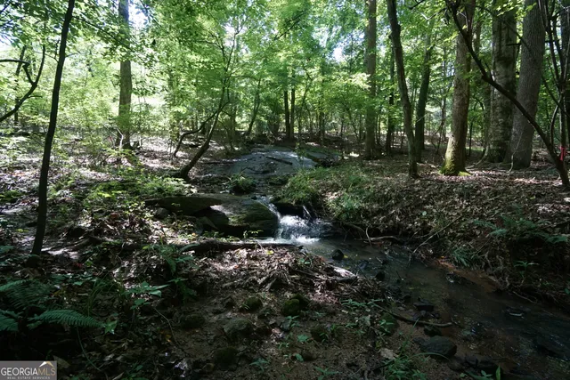 a view of outdoor space and tree