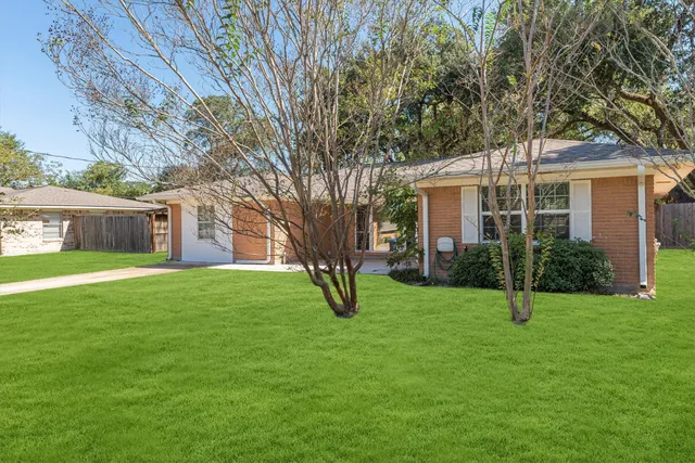 a garden with trees in front of it