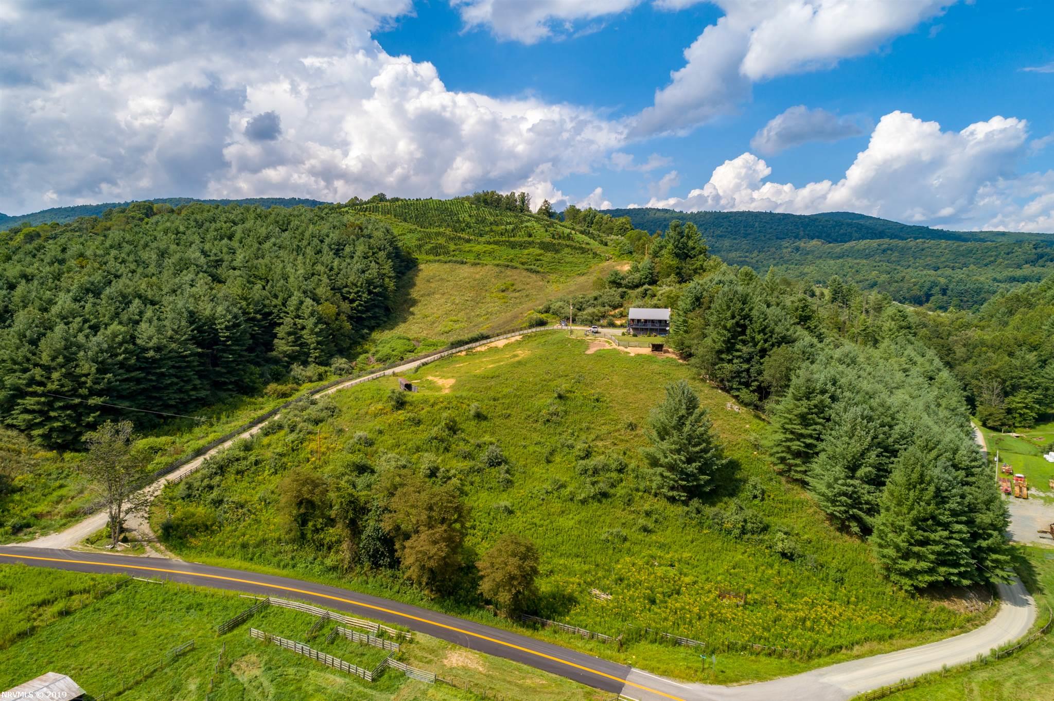 5305 Spring Valley Road, Unit 1 Elk Creek, VA 24326 - Photo 3 of 68 Gallery Image 3
