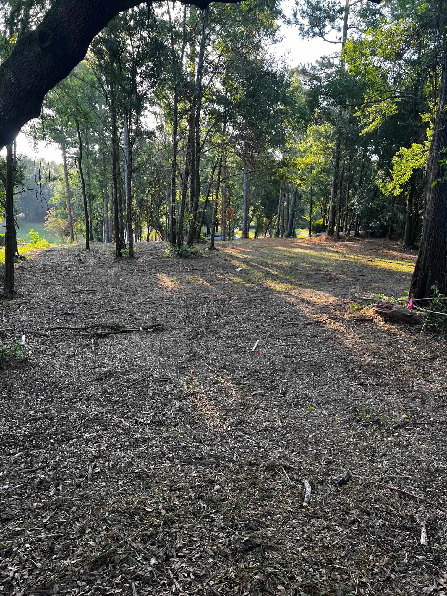 115 Augusta Court Fairhope, AL 36532 - Photo 7 of 12