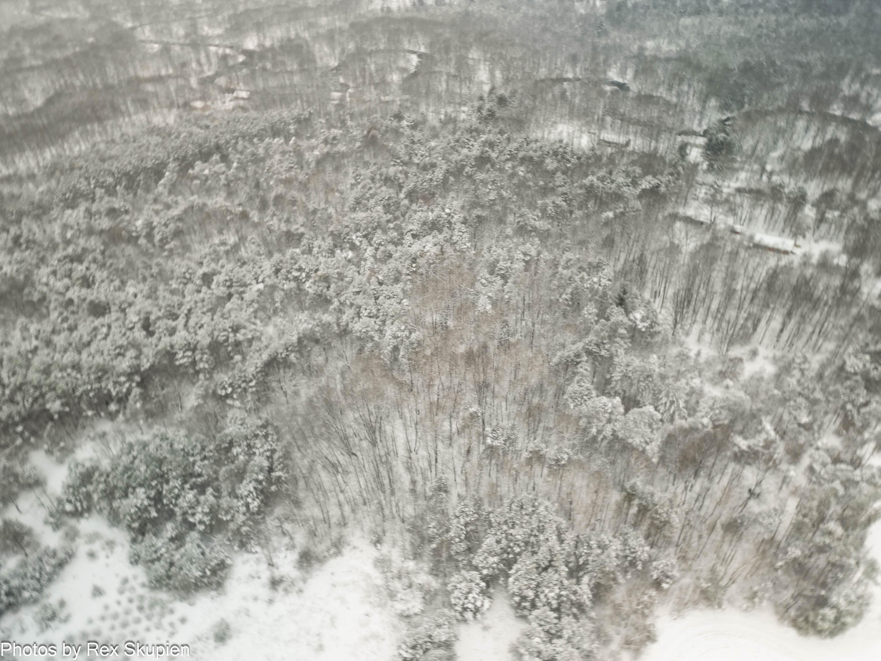 7830 Jefferson Street Hesperia, MI 49421 - Photo 45 of 48 DJI_0863