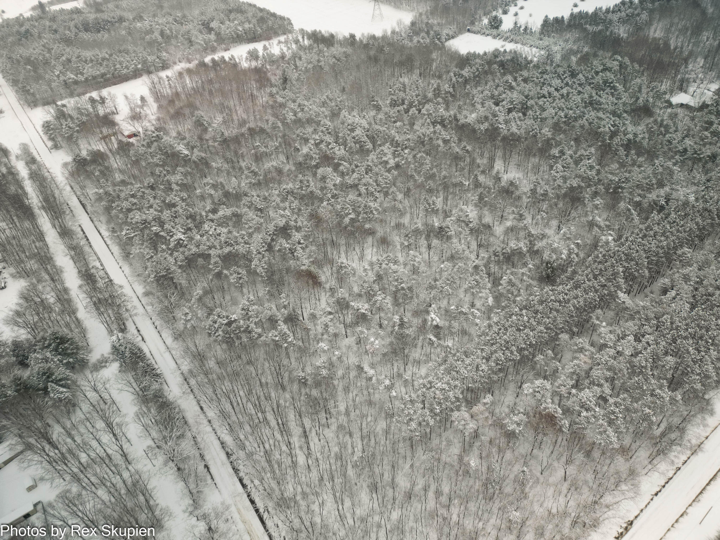 7830 Jefferson Street Hesperia, MI 49421 - Photo 46 of 48 DJI_0865