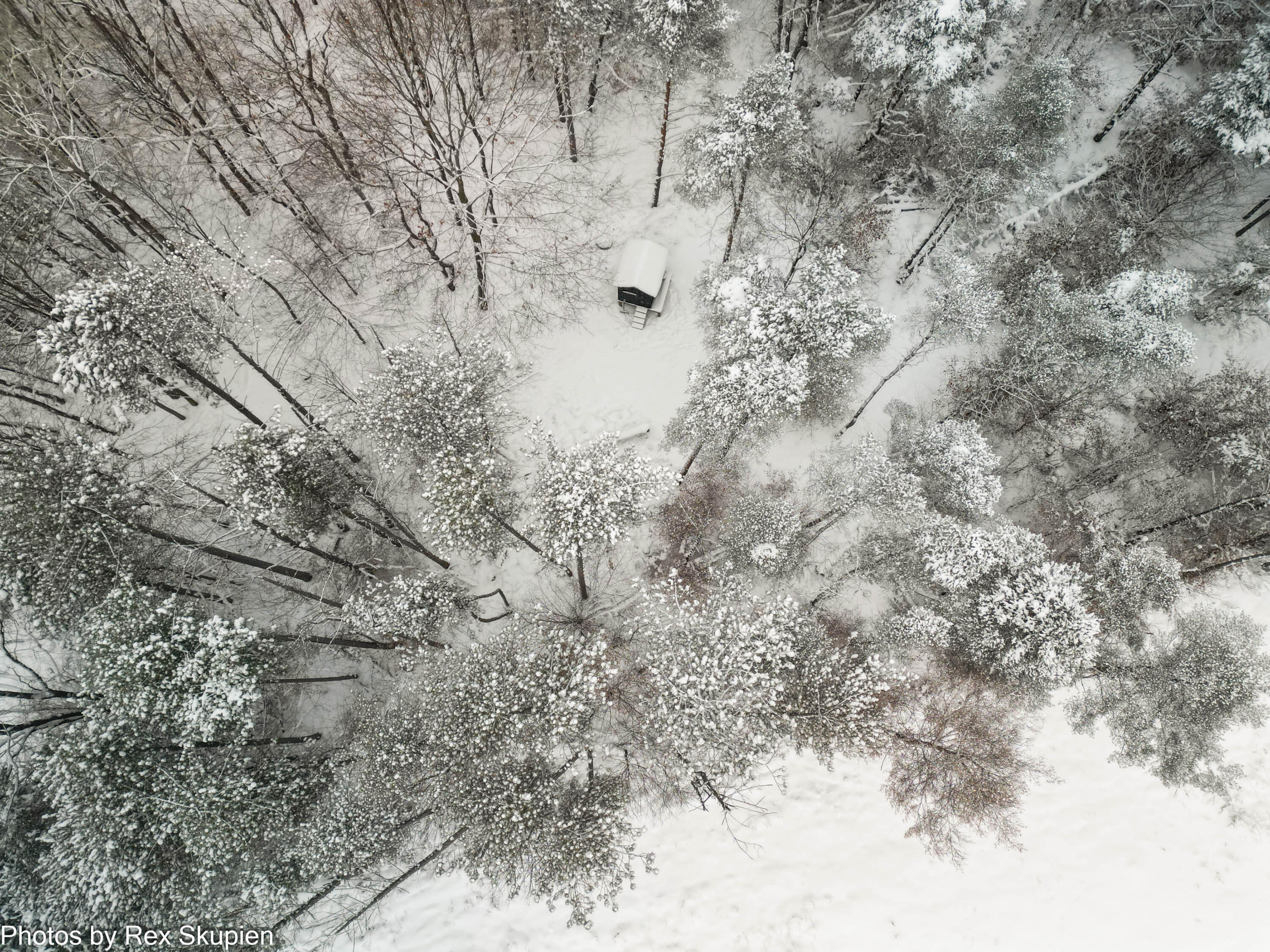 7830 Jefferson Street Hesperia, MI 49421 - Photo 47 of 48 DJI_0866