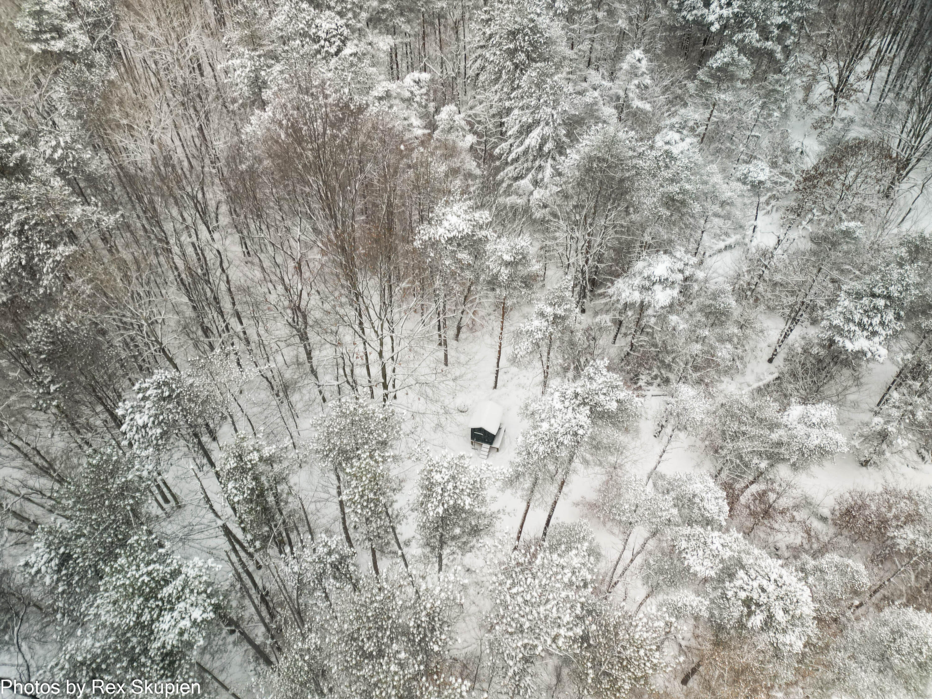 7830 Jefferson Street Hesperia, MI 49421 - Photo 48 of 48 DJI_0867