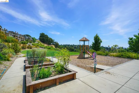 a view of a pathway both side of grassy field with shrub