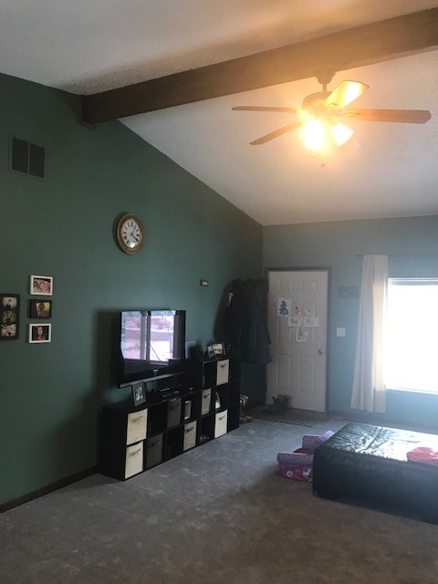 995 South Leaton Road Mount Pleasant, MI 48858 - Photo 18 of 22 1842211-21.JPG