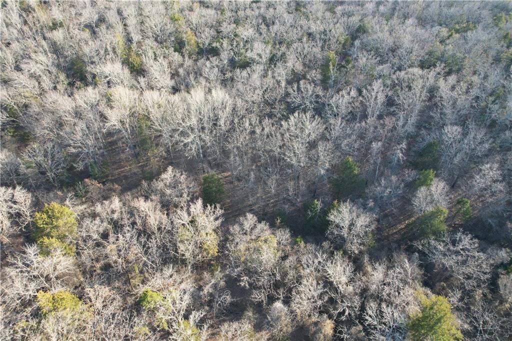 50801 South 36300th Road Cleveland, OK 74020 - Photo 16 of 88