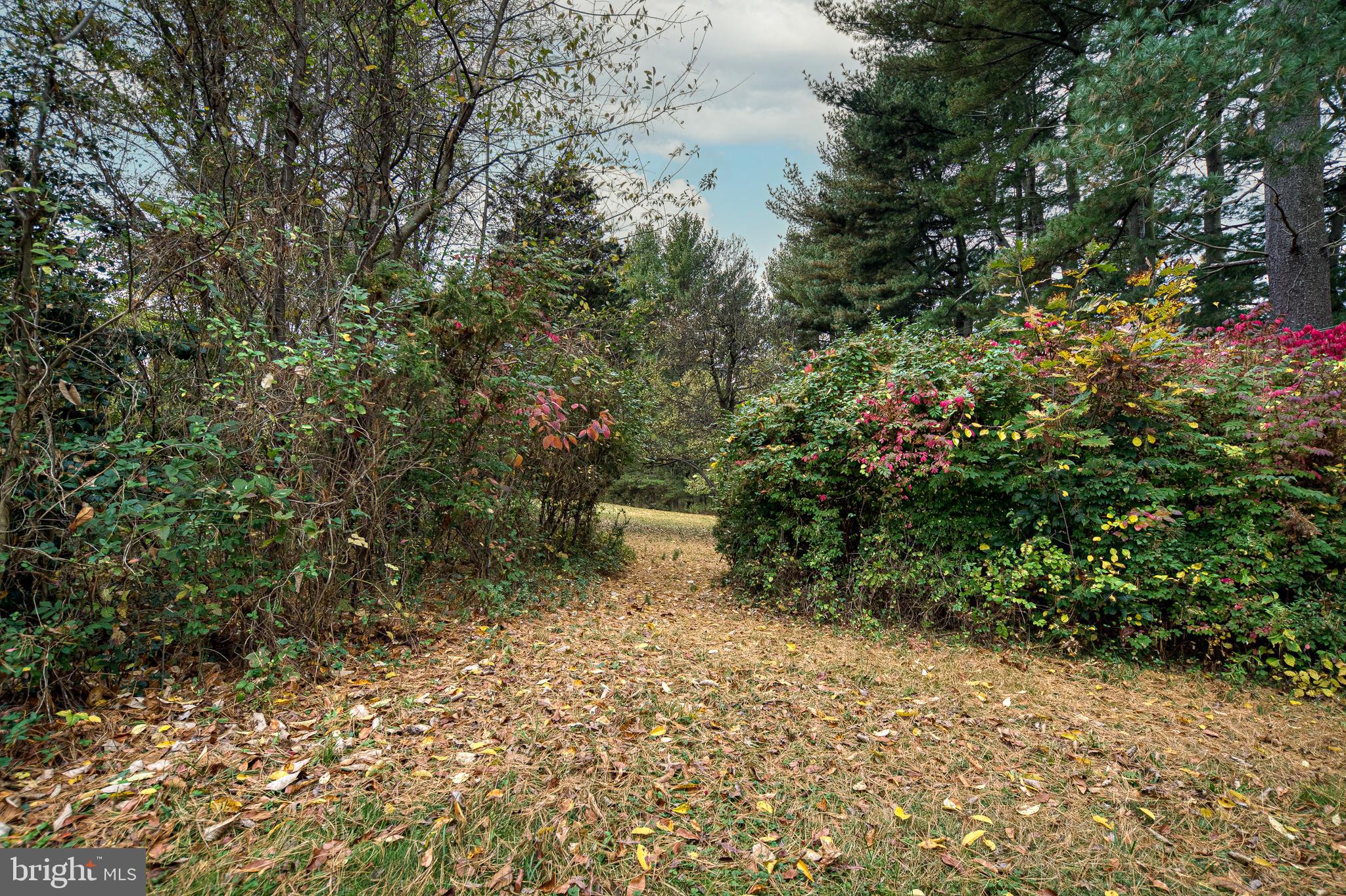 86 Paulson Road Wrightstown, NJ 08562 - Photo 61 of 63