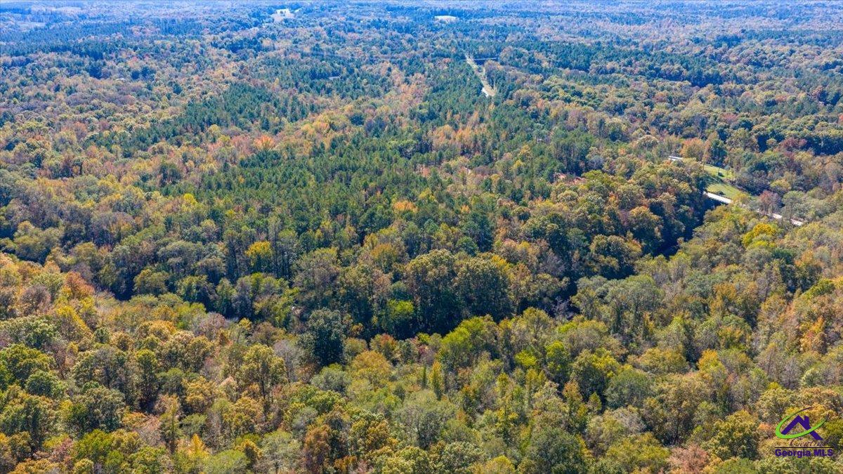 3271 Highway 42 Forsyth, GA 31029 - Photo 22 of 29