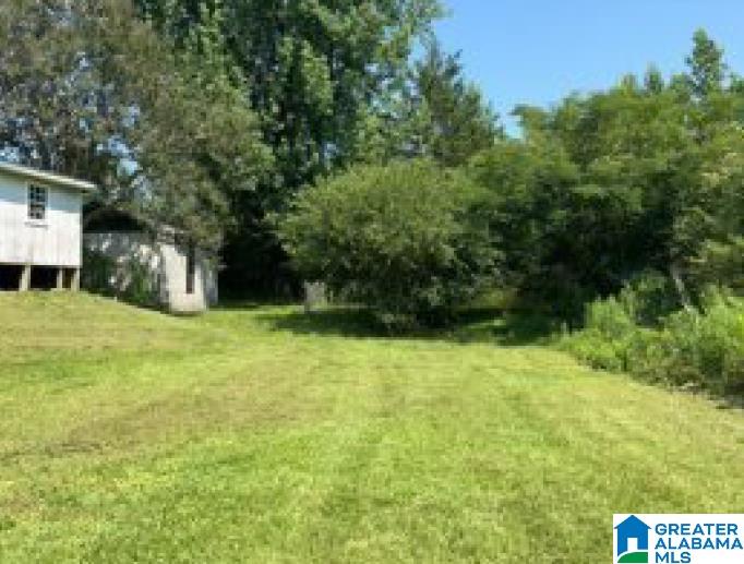 3801 7th Street North Clanton, AL 35045 - Photo 12 of 13