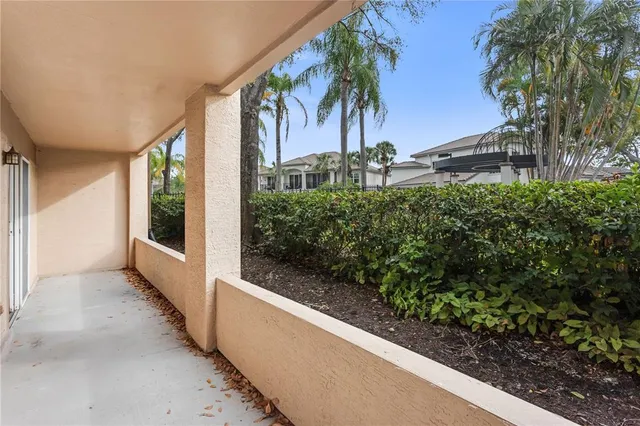 a view of a potted plants with sky view