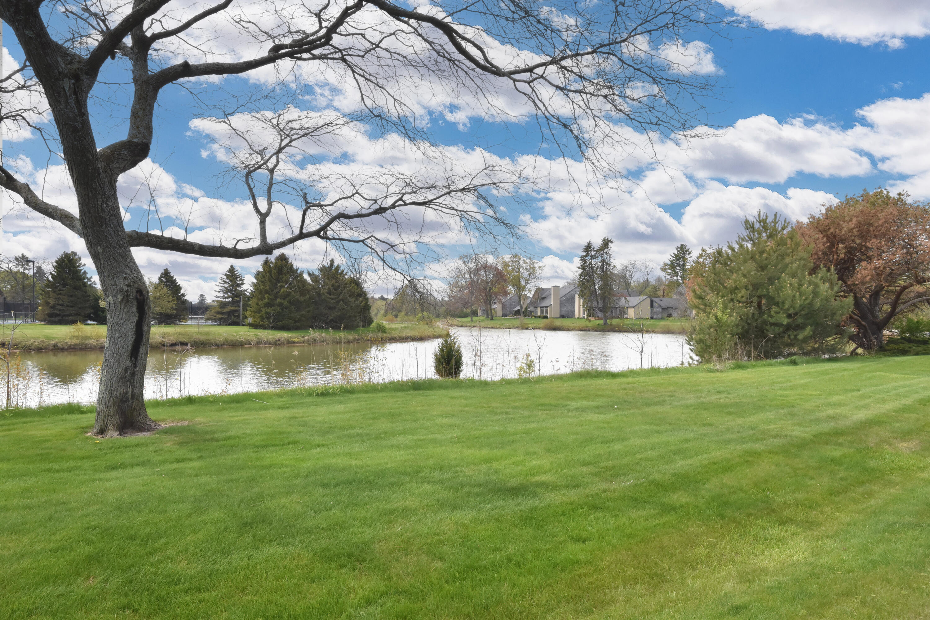 41 Campus Court Wind Point, WI 53402 - Photo 24 of 29 Pond Across Street