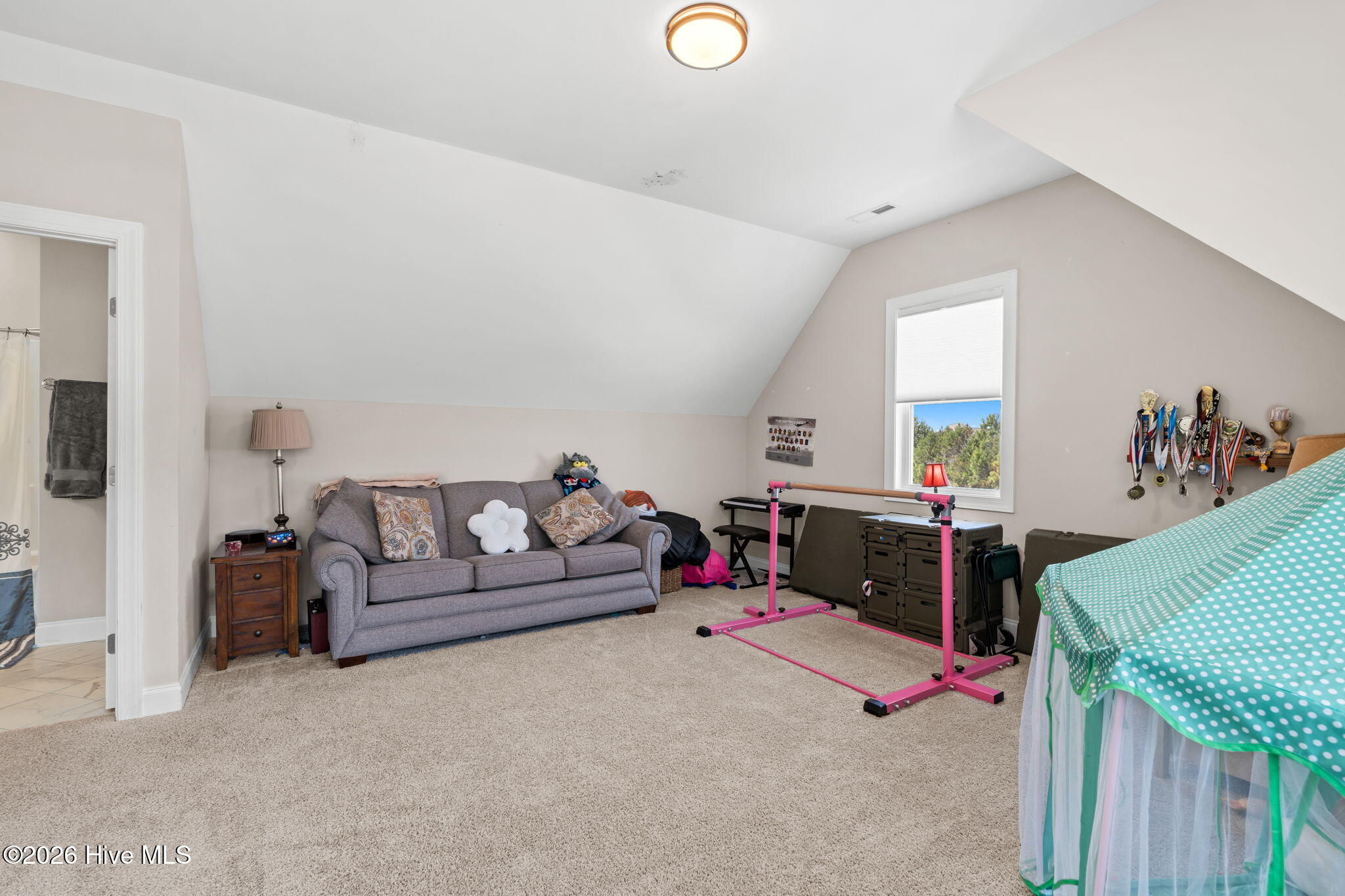 479 Northern Pintail Place Hampstead, NC 28443 - Photo 29 of 36 45-web-or-mls-cammediallc.com (50 of 64)