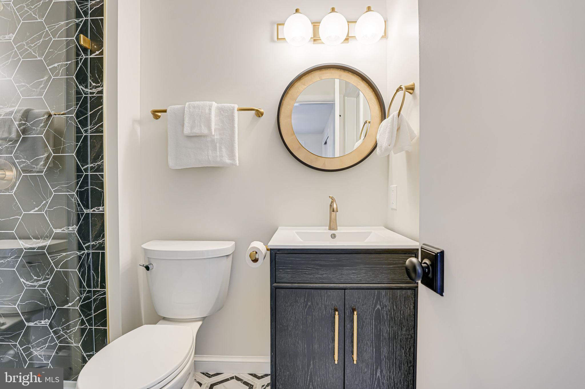 7401 Fort Hunt Road Alexandria, VA 22307 - Photo 44 of 56 a bathroom with a toilet a sink and a mirror