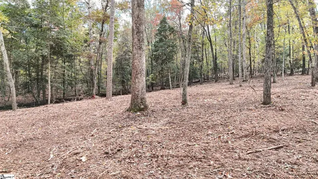 $400,000 | 890 Old Hundred Road, Pelzer, SC 29669