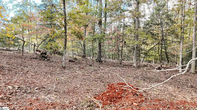 $400,000 | 890 Old Hundred Road, Pelzer, SC 29669