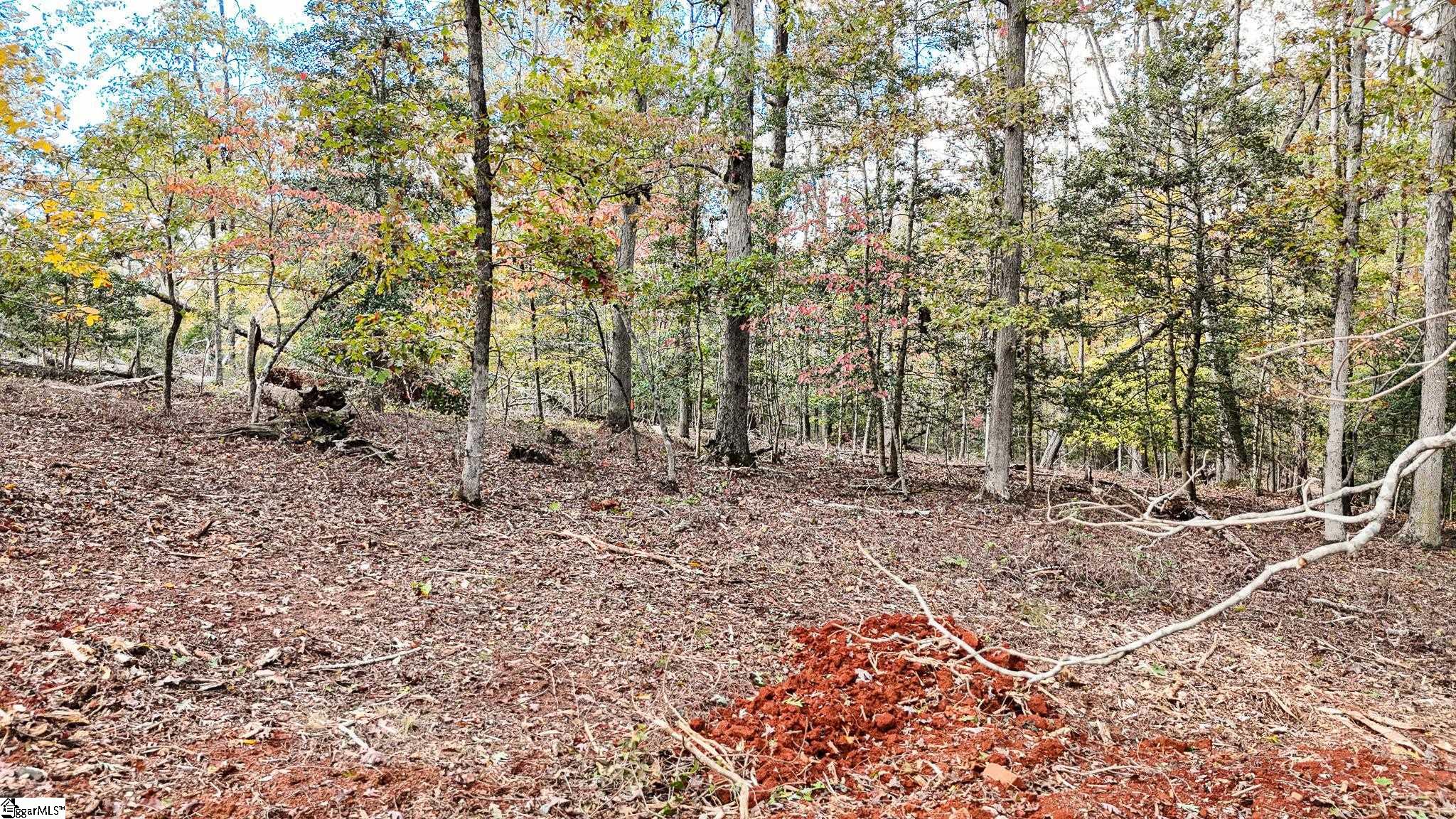 890 Old Hundred Road Pelzer, SC 29669 - Photo 12 of 23 Gallery Image 12