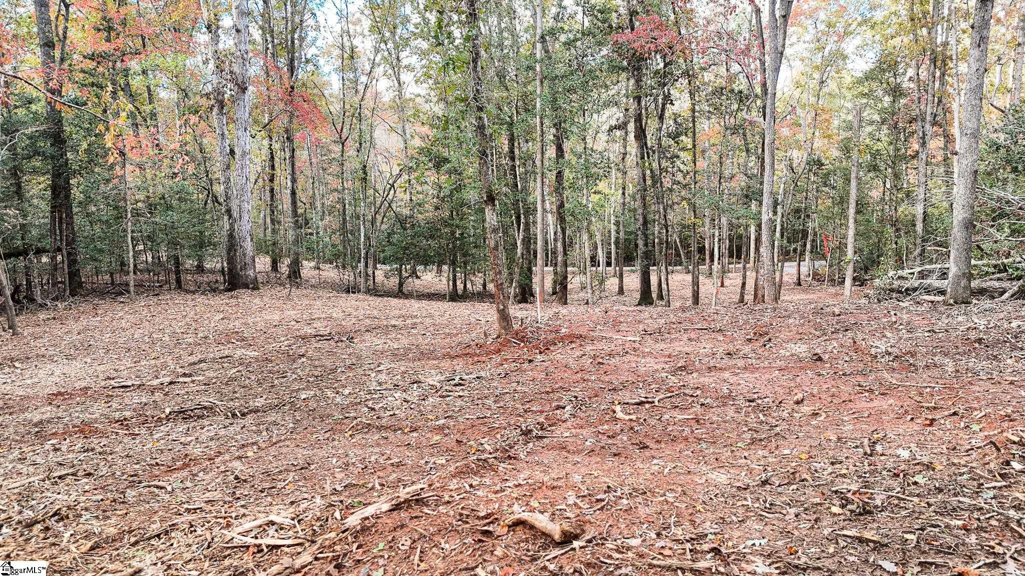 890 Old Hundred Road Pelzer, SC 29669 - Photo 16 of 23 Gallery Image 16