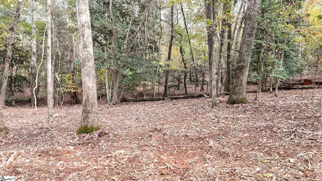 $400,000 | 890 Old Hundred Road, Pelzer, SC 29669